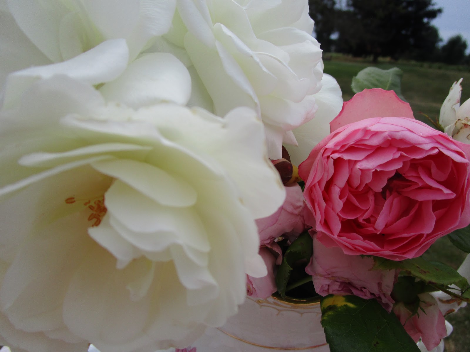 Karen's Cottage and Castle