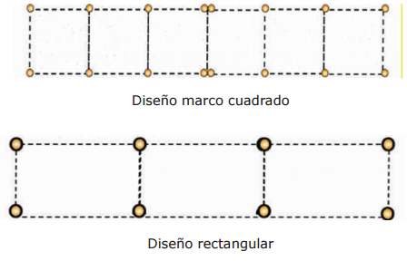 HUERTO DE CITRICOS: DISEÑO Y SISTEMAS DE PLANTACIÓN DE CÍTRICOS