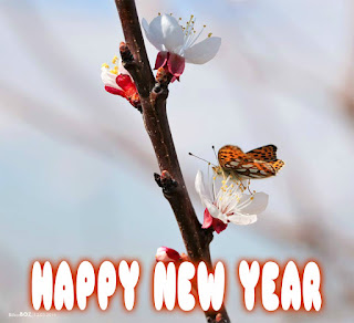 islamic new year images