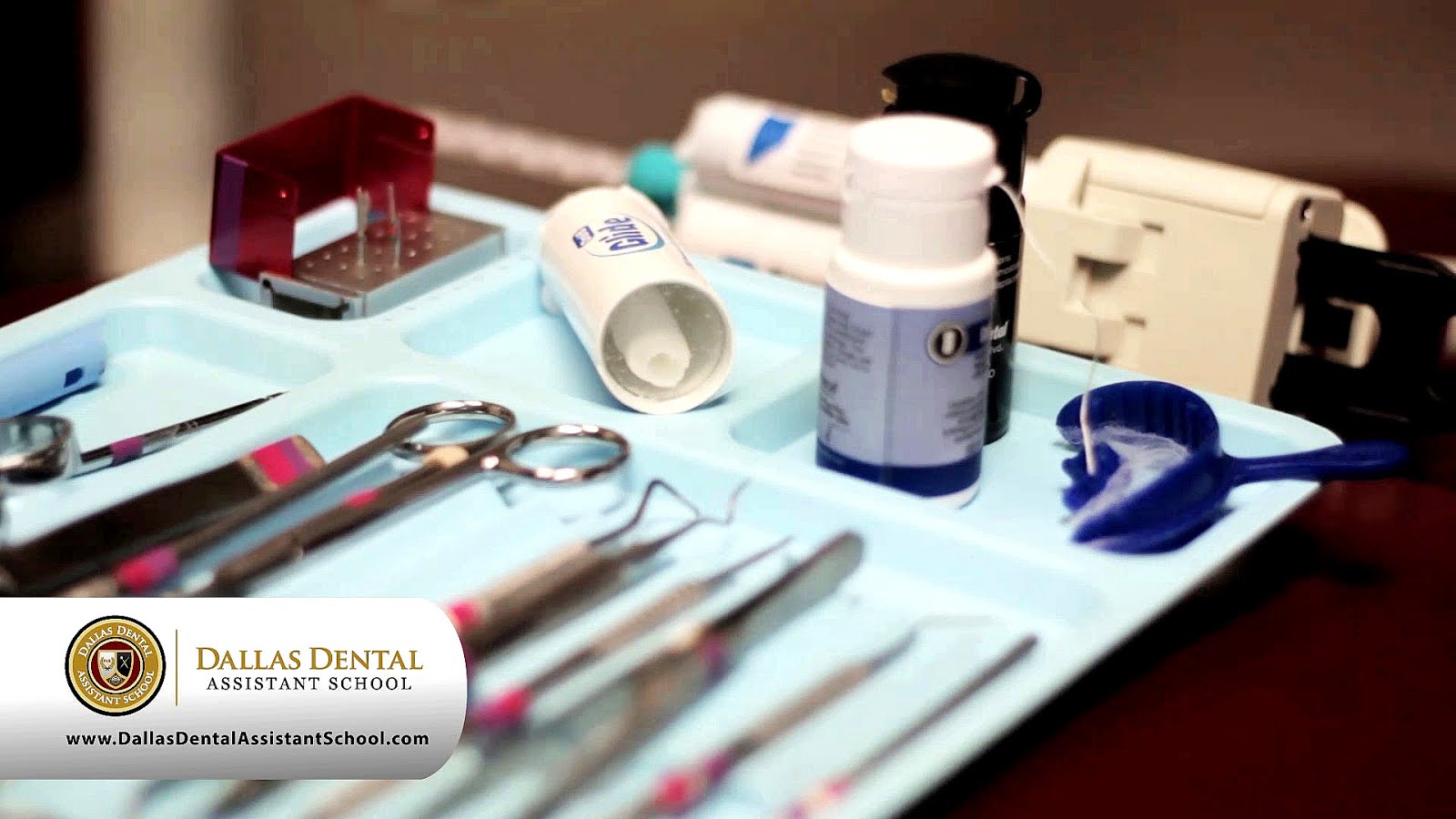 Dental Assistant Schools In Dallas School Choices