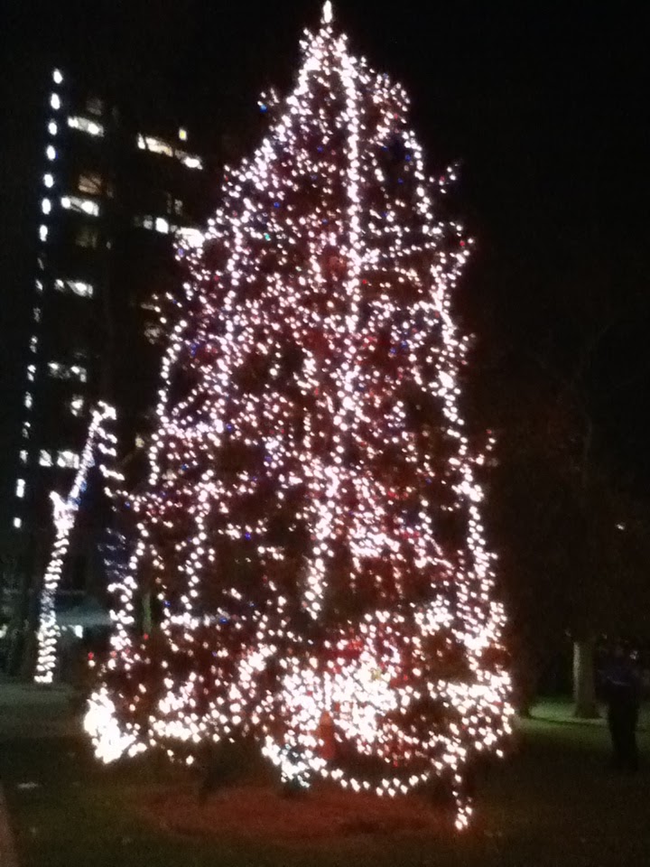 Roosevelt Islander Online 11/27/11 12/4/11