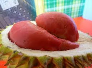 durian merah resmi milik banyuwangi