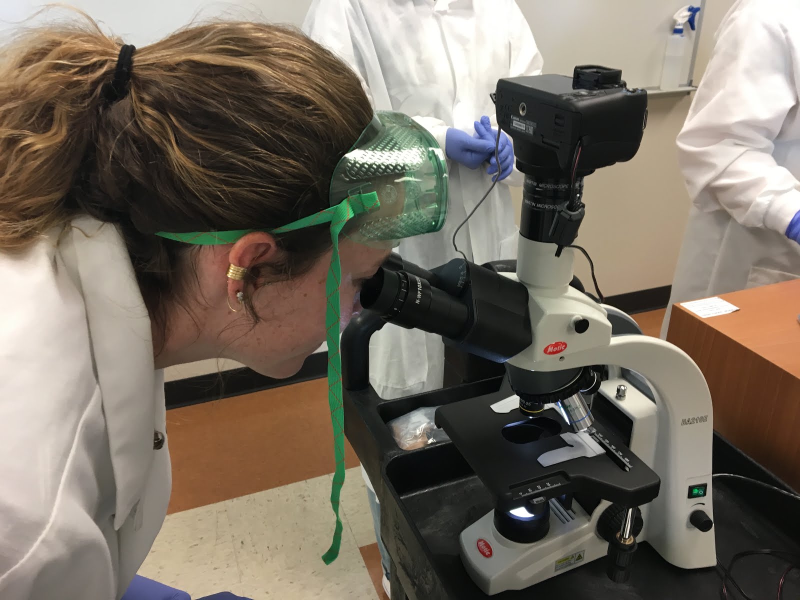 Lab 4 Using the Spectrophotometer to Measure the Rate of Bacterial