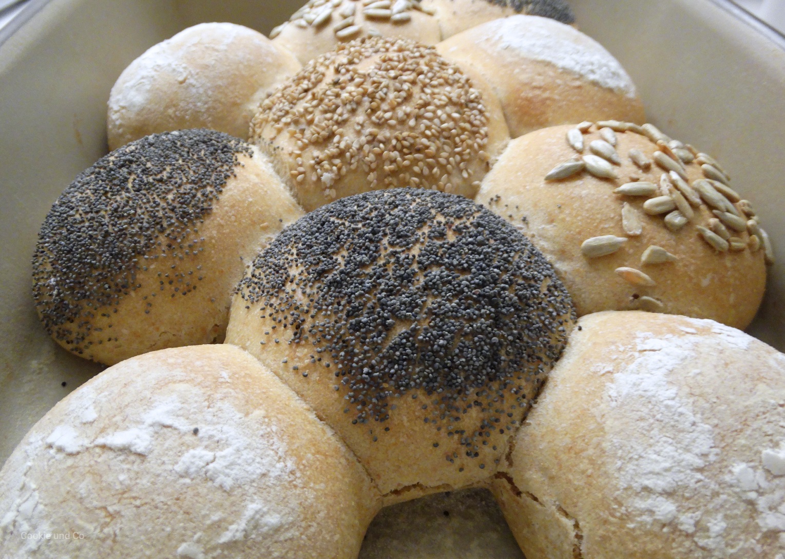 Brötchensonne über Nacht Brötchensonne über Nacht