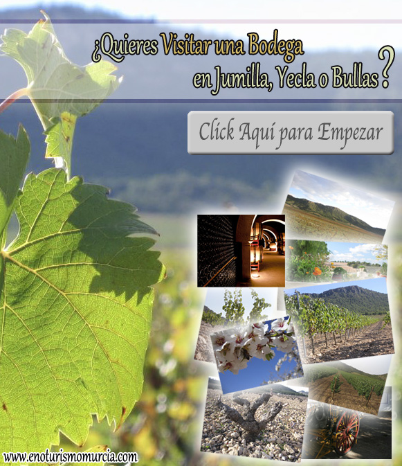 Visitar Bodegas Murcia