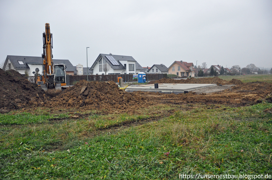 Unser Nestbau November 2016