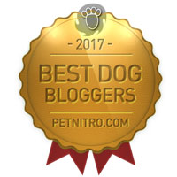 Best Wet Dog Food Brands Best Wet Dog Food Brands