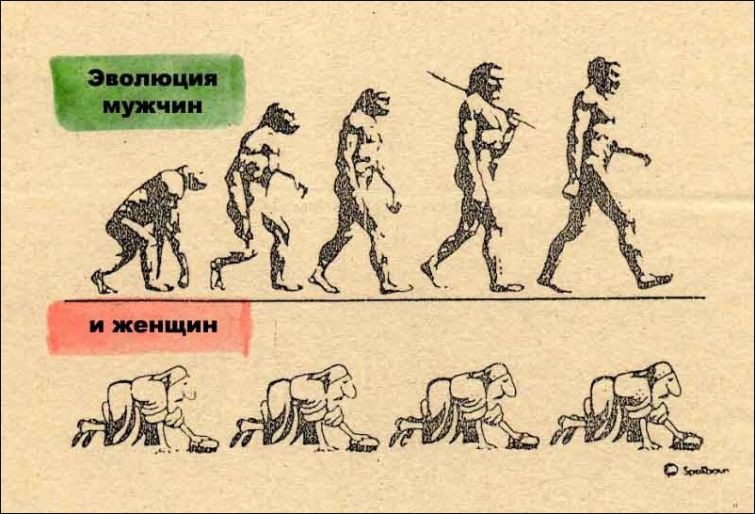 Смешные иллюстраций на тему эволюции 