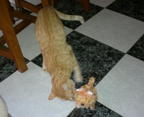 consejos-para-superar-la-perdida-de-tu-gato