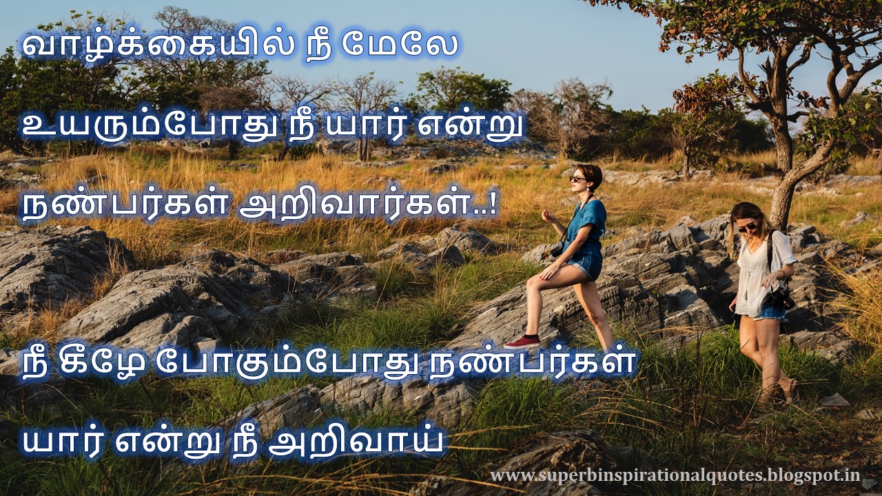 நட்பை பற்றிய சிறந்த தமிழ் பொன்மொழிகள் # 11 - Superb inspirational Quotes