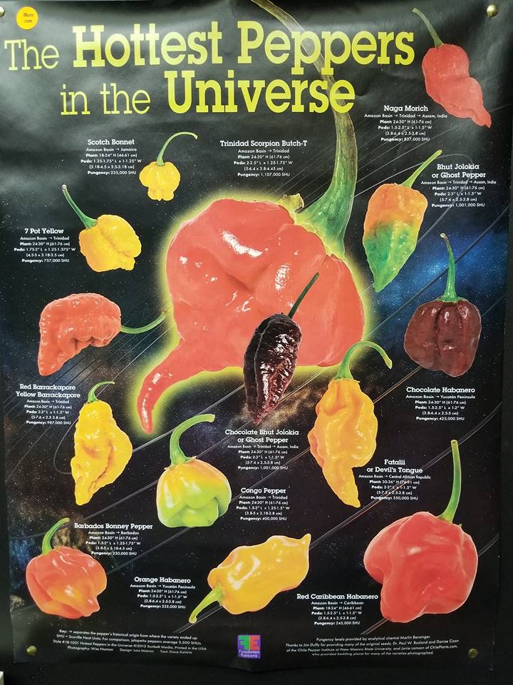 Houston Food Explorers Hot Sauce! Houston! Hot Sauce! The iBurn Hot