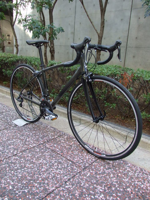 アンカー 2020 ブリジストン