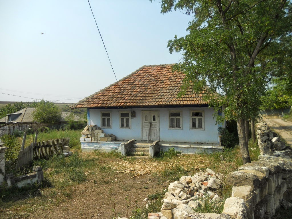 Warren's Moldovan Way Moldova rerunshouses