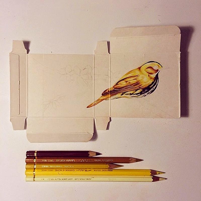 Birds Painting on Unfolded Medicine Boxes