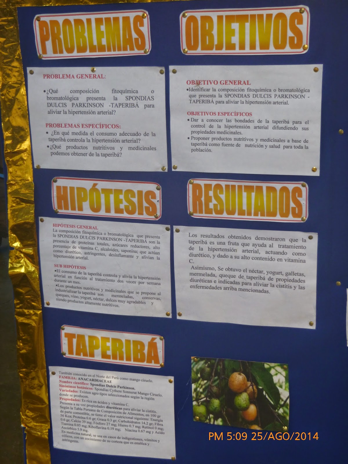 Ciencia, Tecnología y Ambiente en Santa Anita: Panel de la Feria ...