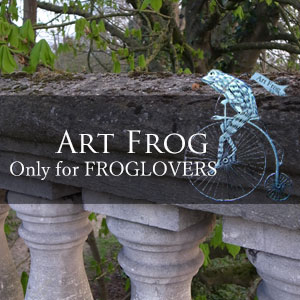 http://art-frog.com
