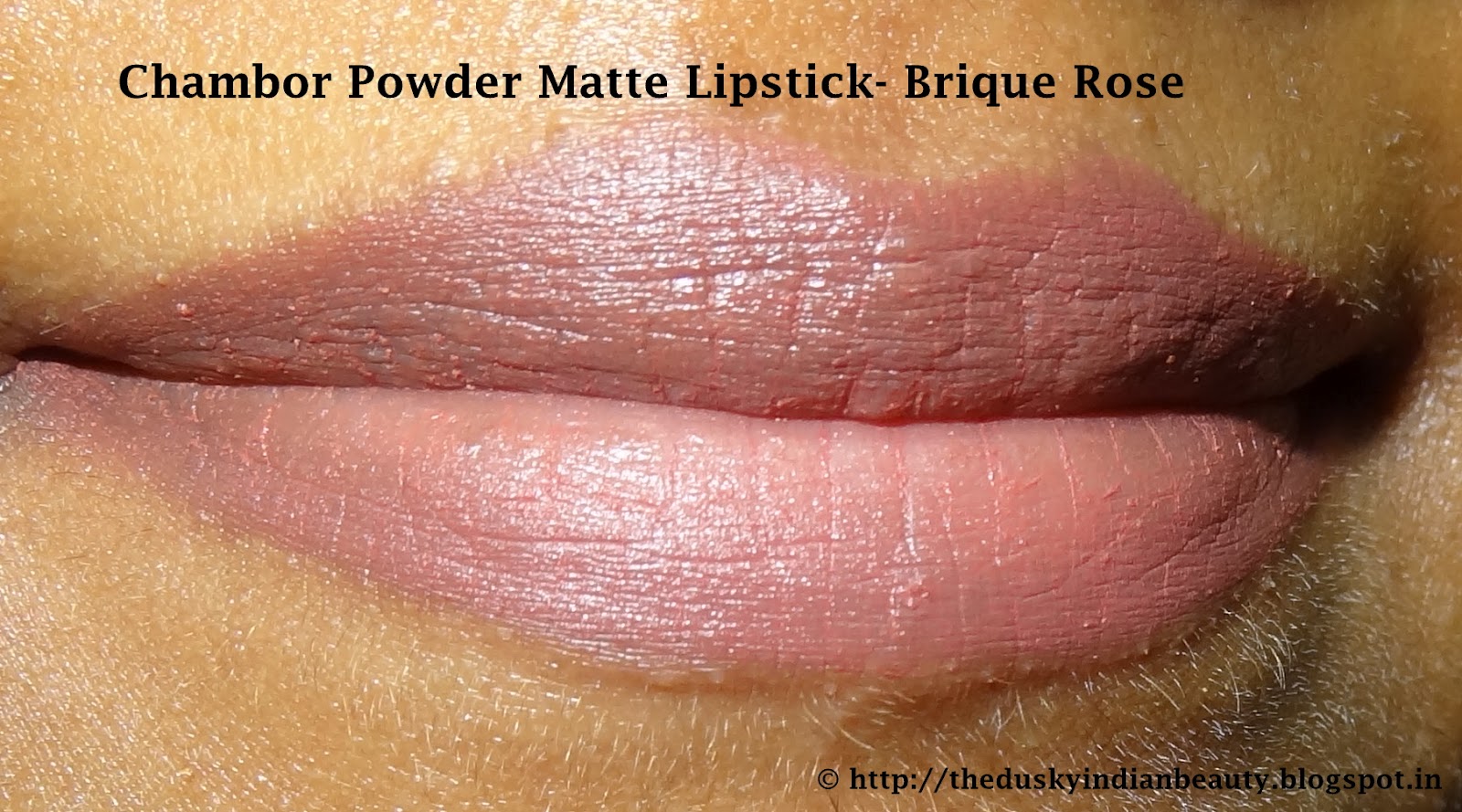 Chambor Powder Matte Lipstick Brique Rose Review The