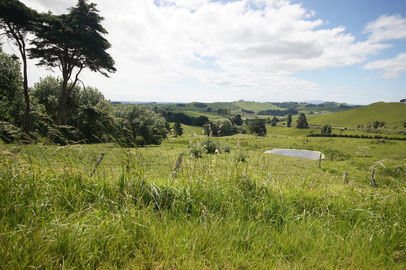 Magi and Sam: Maungaraho Rock south of Dargaville...recommended for ...