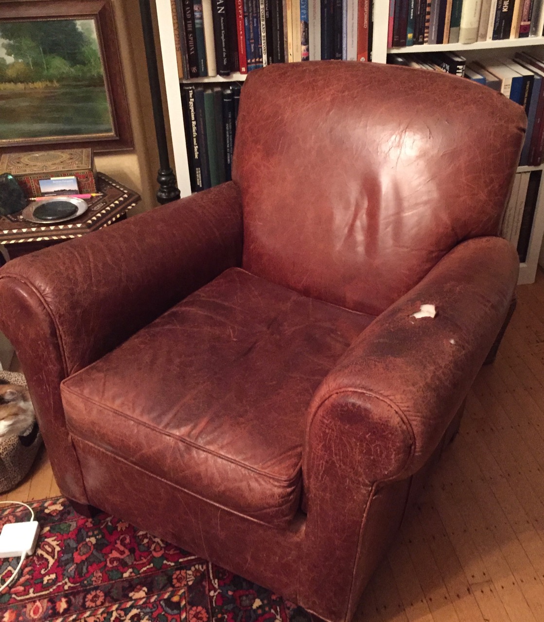 A Proper Bostonian New Chair