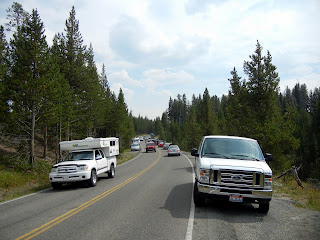 Wildlife viewing car pileups at Yellowstone National Park in Wyoming