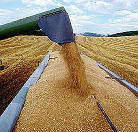 Οι ουσίες που καταστρέφουν τη νοημοσύνη