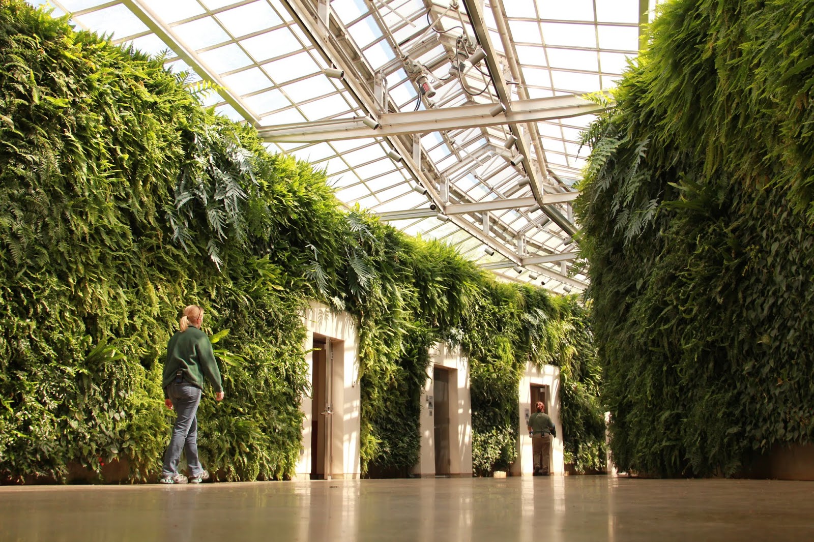 Southwest Daily Images Green Wall at Longwood Gardens