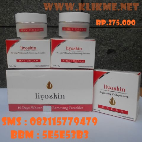 Cream Penghilang Flek Hitam Menahun Liyoskin Cream Penghilang Flek Hitam Menahun