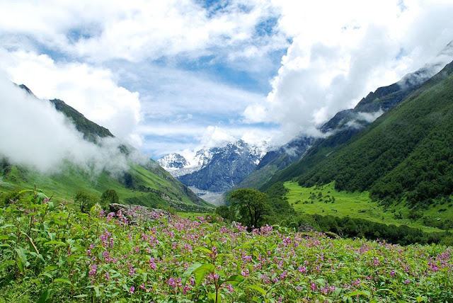 Backpack Trekking In India - Valley of flowers Uttarakhand India 