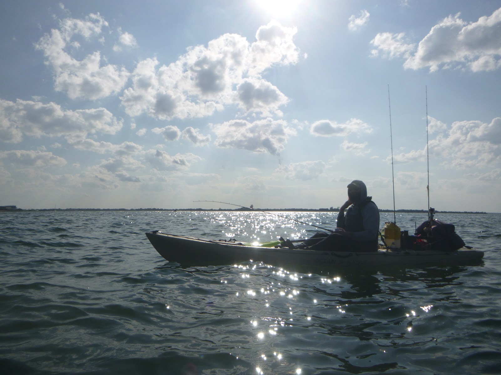 new jersey fishing report fishing new jersey NJ fishing fishing