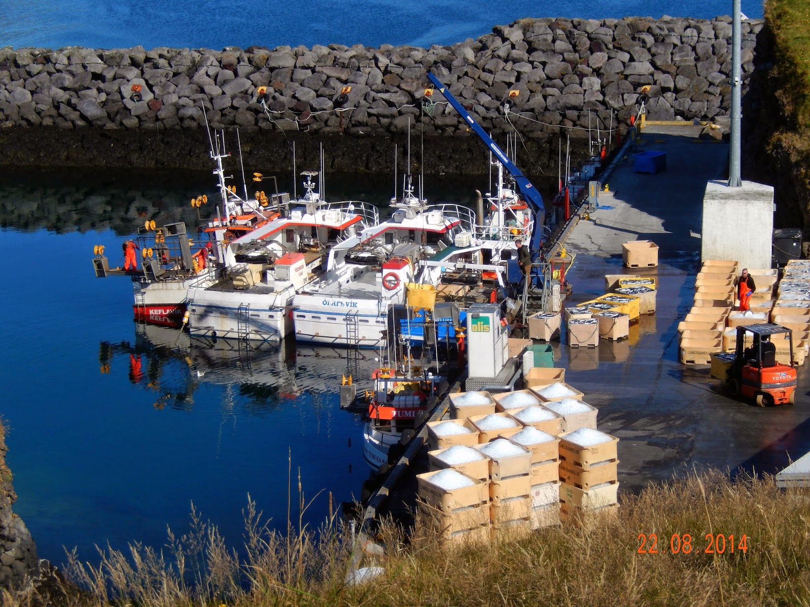 Промышленность исландии