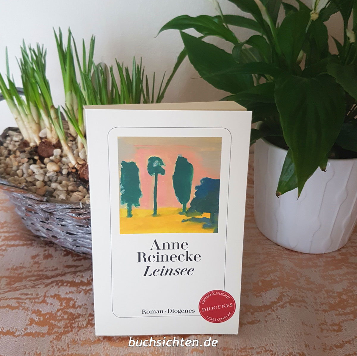 Buchsichten September 2018