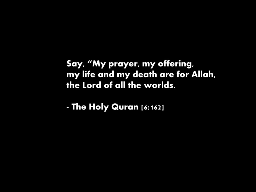 Say-My-Prayers,-My-Offering.jpg