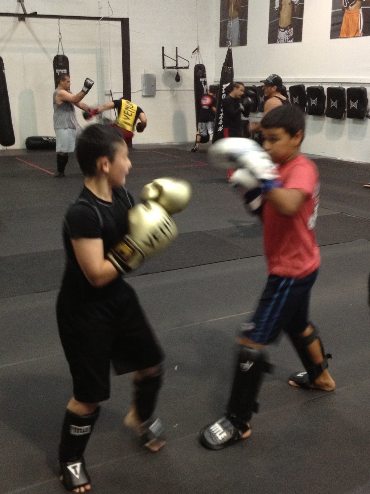 HITBOI UFC MMA shirts and Apparel, kids mma shirts and fight shorts