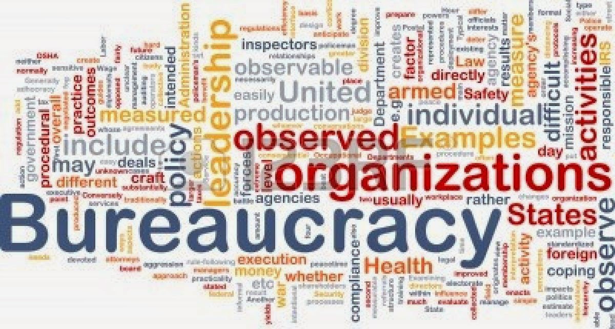 Observations In An Undemocratic World Organisational Structure A