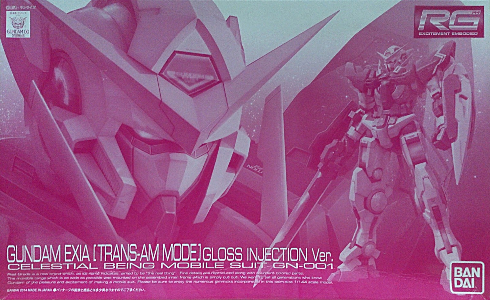 Real Grade Gundam: RG Gundam Exia Variant