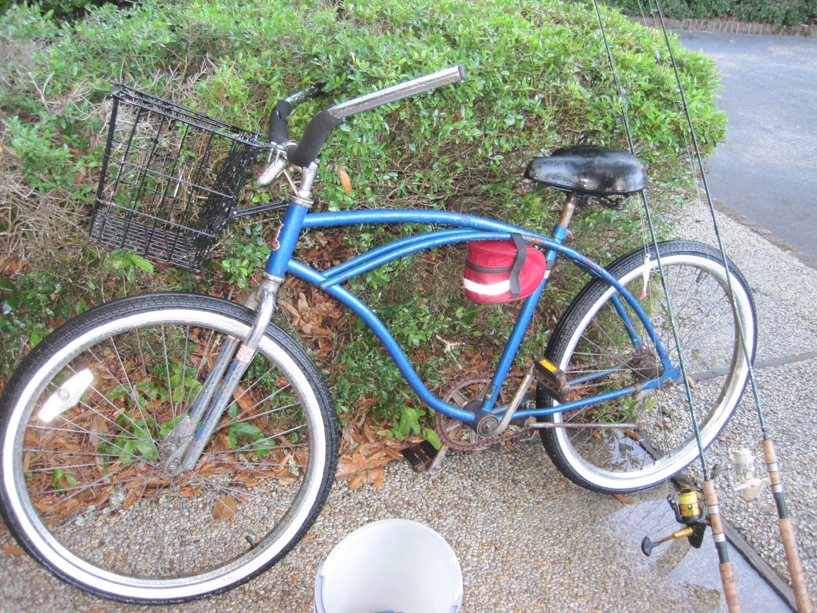 raleigh bluebell bike
