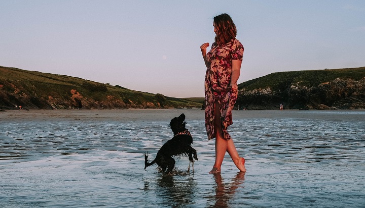 The Best Cornwall Dog Beaches