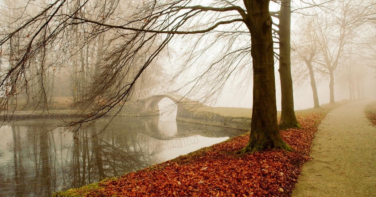 Desktop Wallpapers : Free Desktop Wallpapers | Backgrounds: 3d Desktop