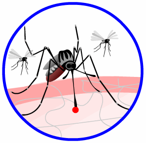 Nyamuk Aedes Aegypti dan Virus Dengue Nyamuk Aedes Aegypti dan Virus Dengue