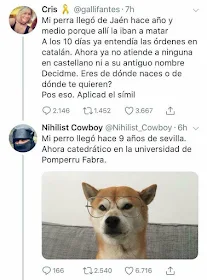 Mi perro llegó hace nueve años de Sevilla. Ahora catedrático en la universidad de Pomperru Fabra