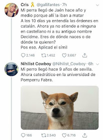 Mi perro llegó hace nueve años de Sevilla. Ahora catedrático en la universidad de Pomperru Fabra Mi perro llegó hace nueve años de Sevilla. Ahora catedrático en la universidad de Pomperru Fabra