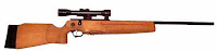 SSG 82 sniper rifle