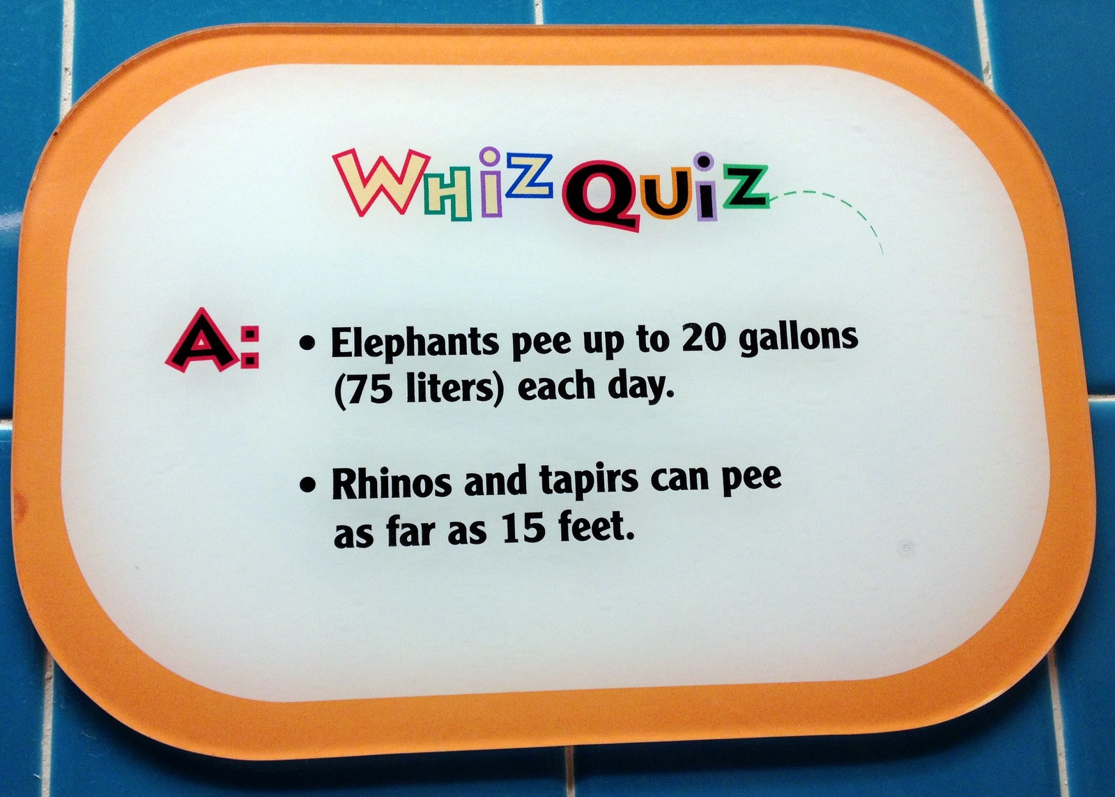 What Am I Doing? Disney's Animal Kingdom Whiz Quiz