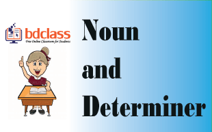 Noun and Determiner