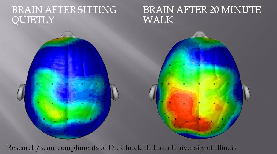 Brain after sitting quietly and after 20 minute walk - 10 Simple Things You Can Do Today That Will Make You Happier, Backed By Science