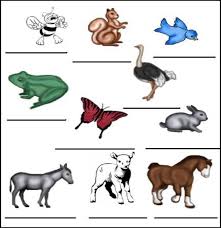 Funny English: Learning the name of the animals....