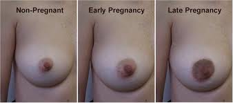 Early Pregnancy Signs