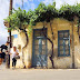 ΕΛΛΗΝΙΔΑ ΜΑΝΑ ΣΤΟΝ ΗΜΙΜΑΡΑΘΩΝΙΟ ΚΡΗΤΗΣ – Half Marathon in Crete 2017 - Video