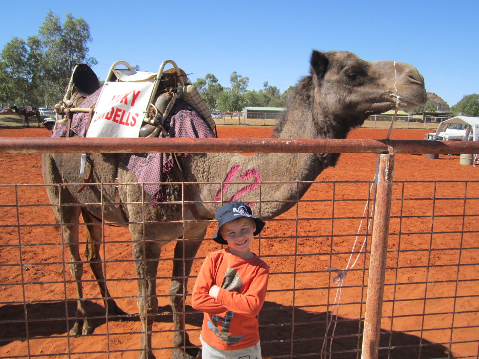 Dallas to Alice Life in the Outback Camel Races