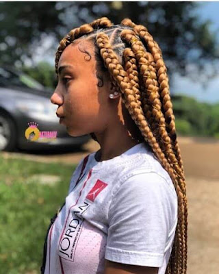 37 Unique Triangle Box Braids Hairstyles 2019 Funky For Black Women Triangle box braids hairstyles have been a stylish and trendy protective hairstyle for bl 37 Unique Triangle Box Braids Hairstyles 2019 Funky For Black Women